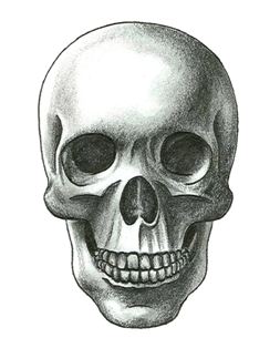 skull4