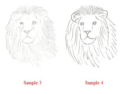 pictures of lions to draw. and draw over the lion