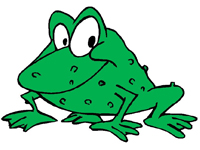 How to draw guide – learn how to draw » Draw a frog – how to draw a