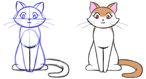 how do you draw a cat 