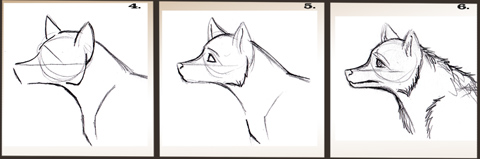 Great How To Draw A Wolf Head of the decade Learn more here 