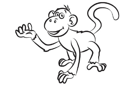 How to draw a monkey – Step 6: